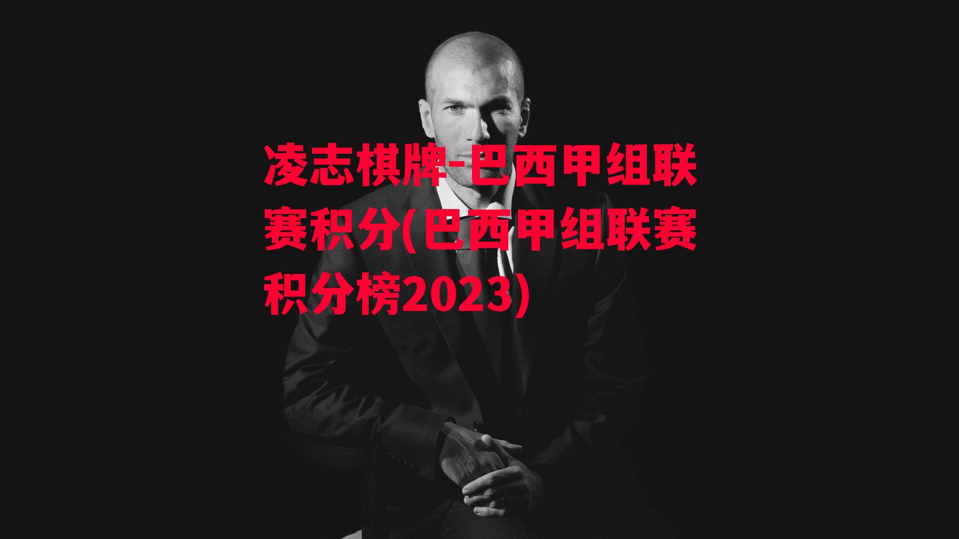 巴西甲组联赛积分(巴西甲组联赛积分榜2023)